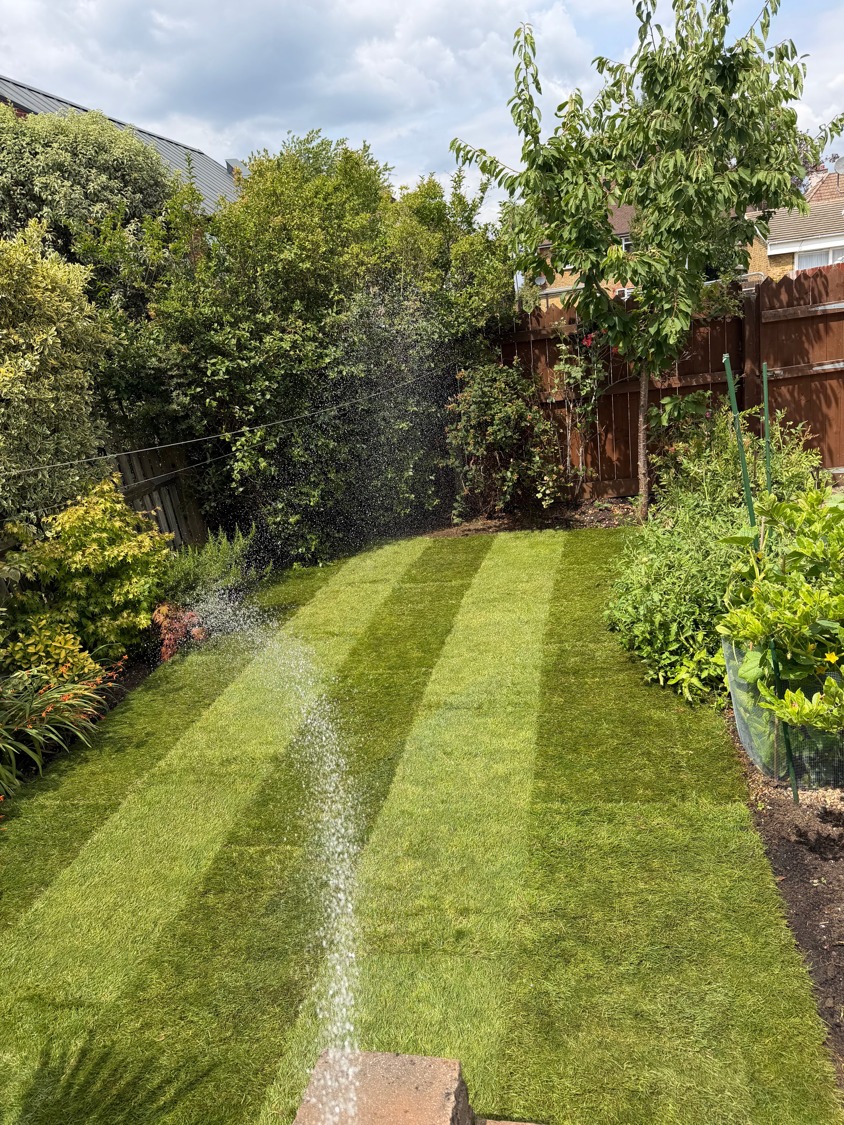 Lawn Installation — after