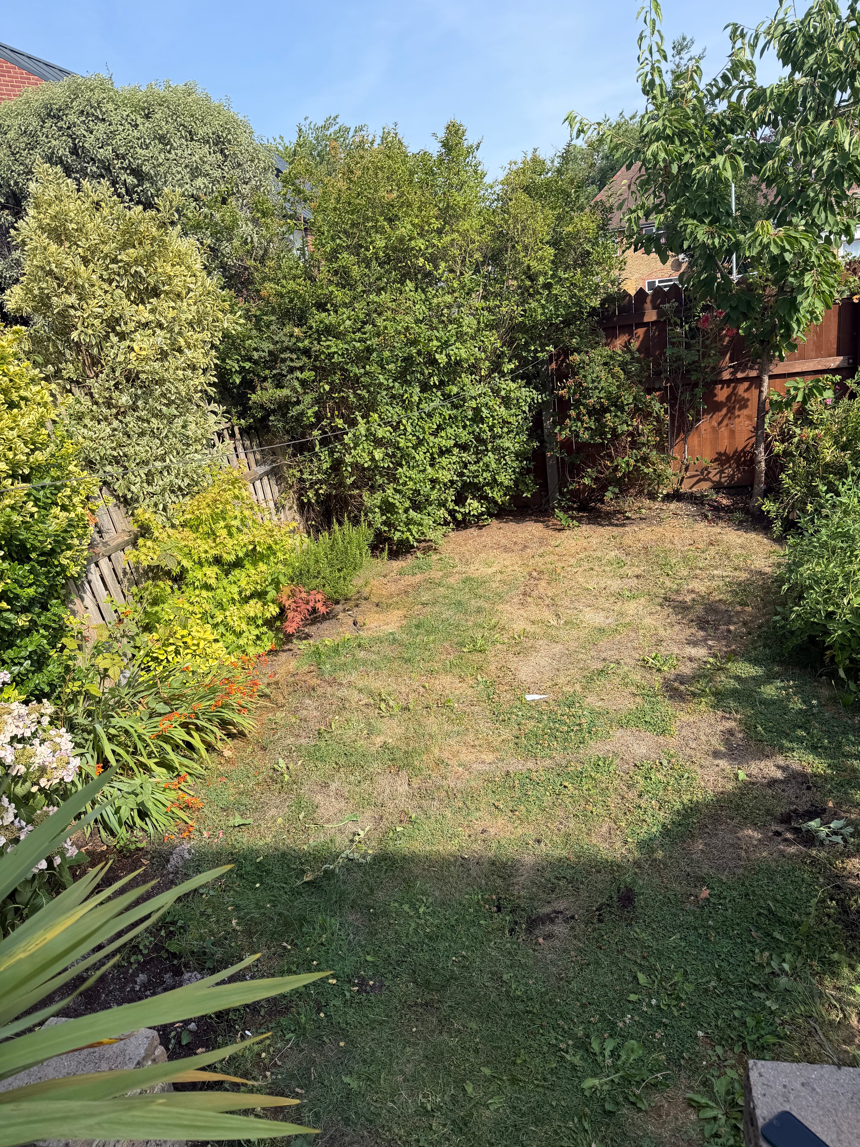 Lawn Installation — before