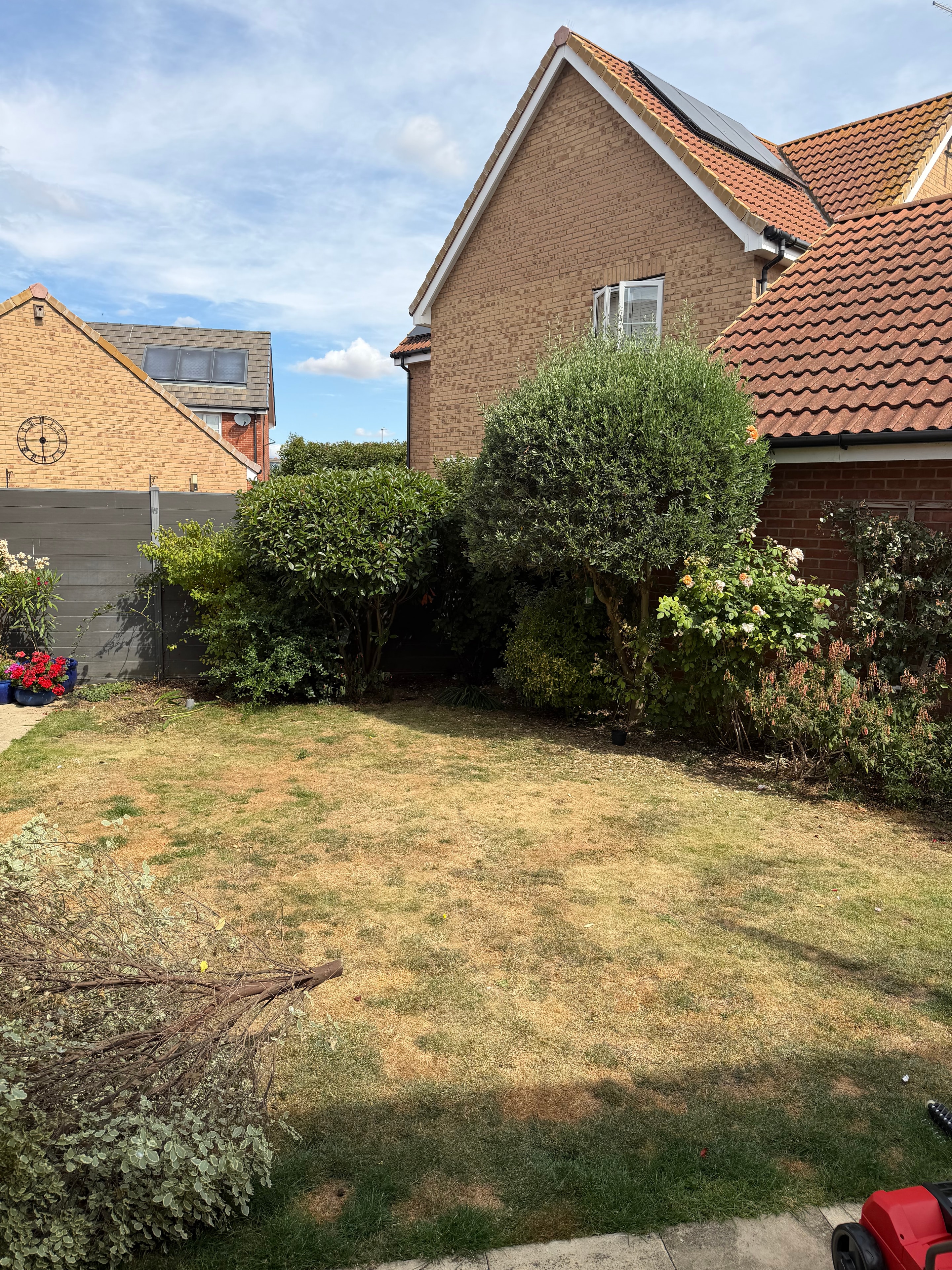 Garden Transformation — before