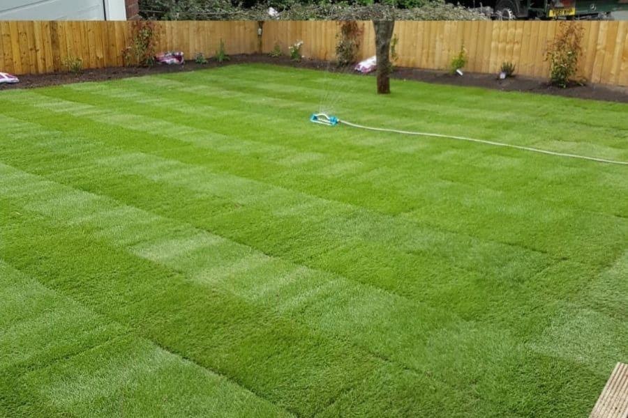 Lawn Renovation