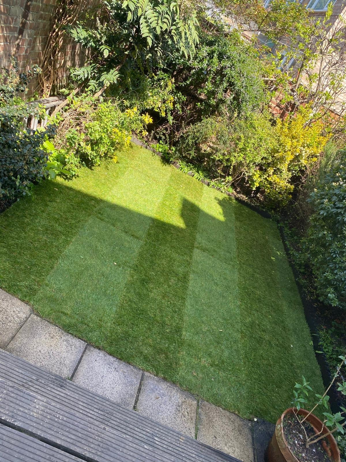 Lawn Installation — photo 2