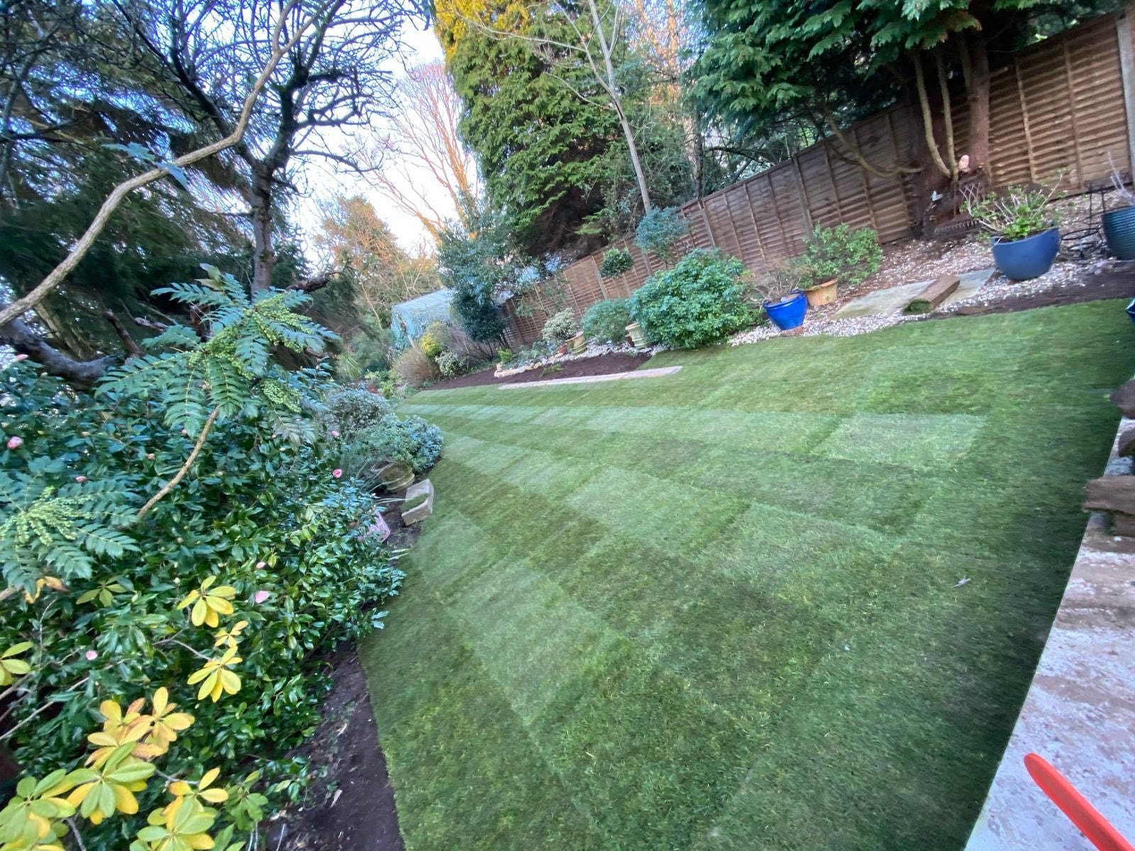 Lawn Installation — photo 4